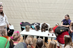 20250227_090644459_iOS