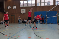 PXL_20250602_124755765.MP_